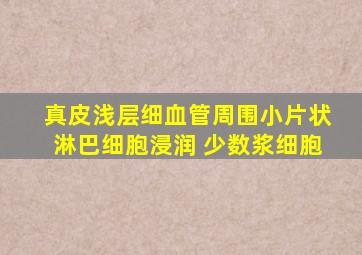 真皮浅层细血管周围小片状淋巴细胞浸润 少数浆细胞